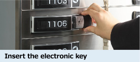 Insert the electronic key